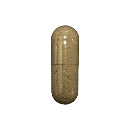 Big Libido